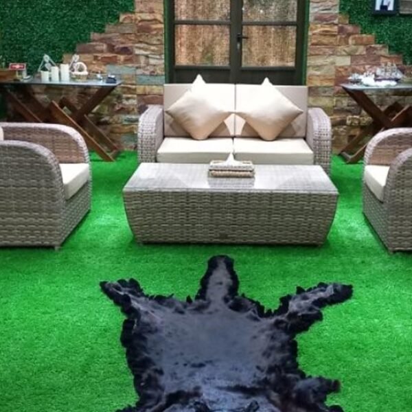 Black Panther (Melanistic Leopard) Rug Mount