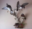 Wood Duck Trio Flying Scene