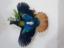 Himalayan Monal