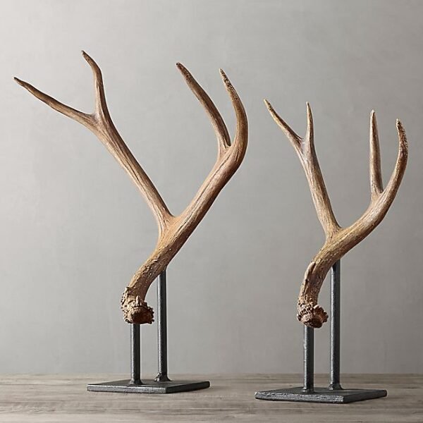 Mule Deer Antlers