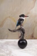 Malachite Kingfisher