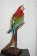 Red-and-Green Macaw